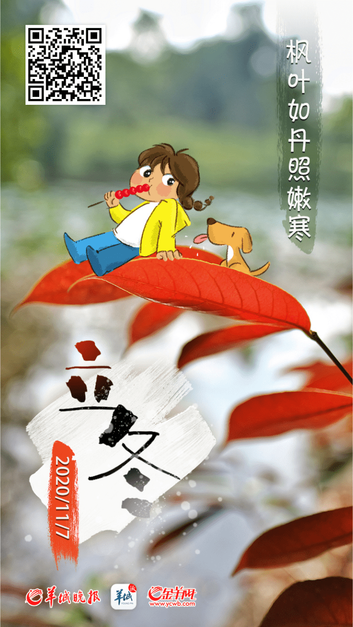 立冬·街拍 | 别处正“冬藏”，广州一城繁花藏不住