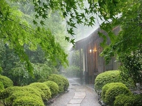 雨落心弦，诗意如画——唯美雨景句子集锦