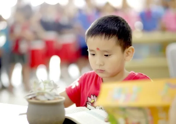 关于星湖学校2020年一年级招生的重要通知