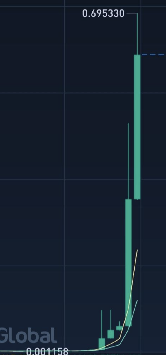 币圈疯了：炒完狗币炒屎币，下一步是炒LowB？