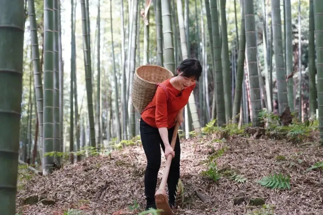 四川打工妹回家种地逆袭成千万大V,她把家乡的山货送上每张餐桌-识物网 - 数字新消费品牌知识门户