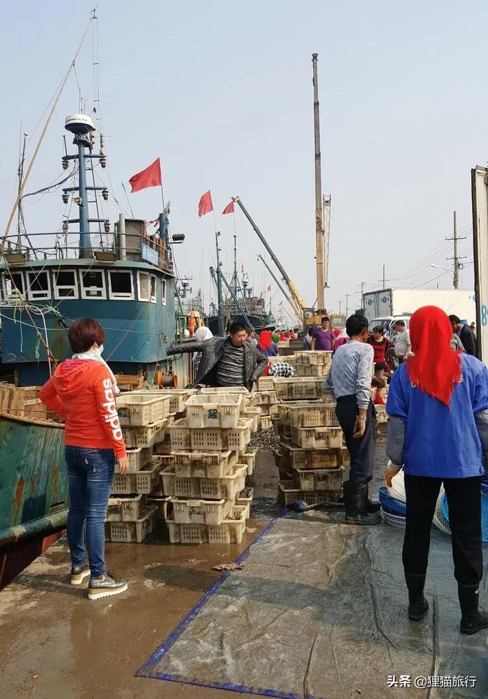 山东寿光是冬暖式蔬菜大棚发源地，被称为中国菜都，也是沿海城市