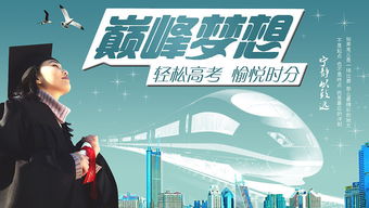 高考报名考生类别（分类招生考试和高考）