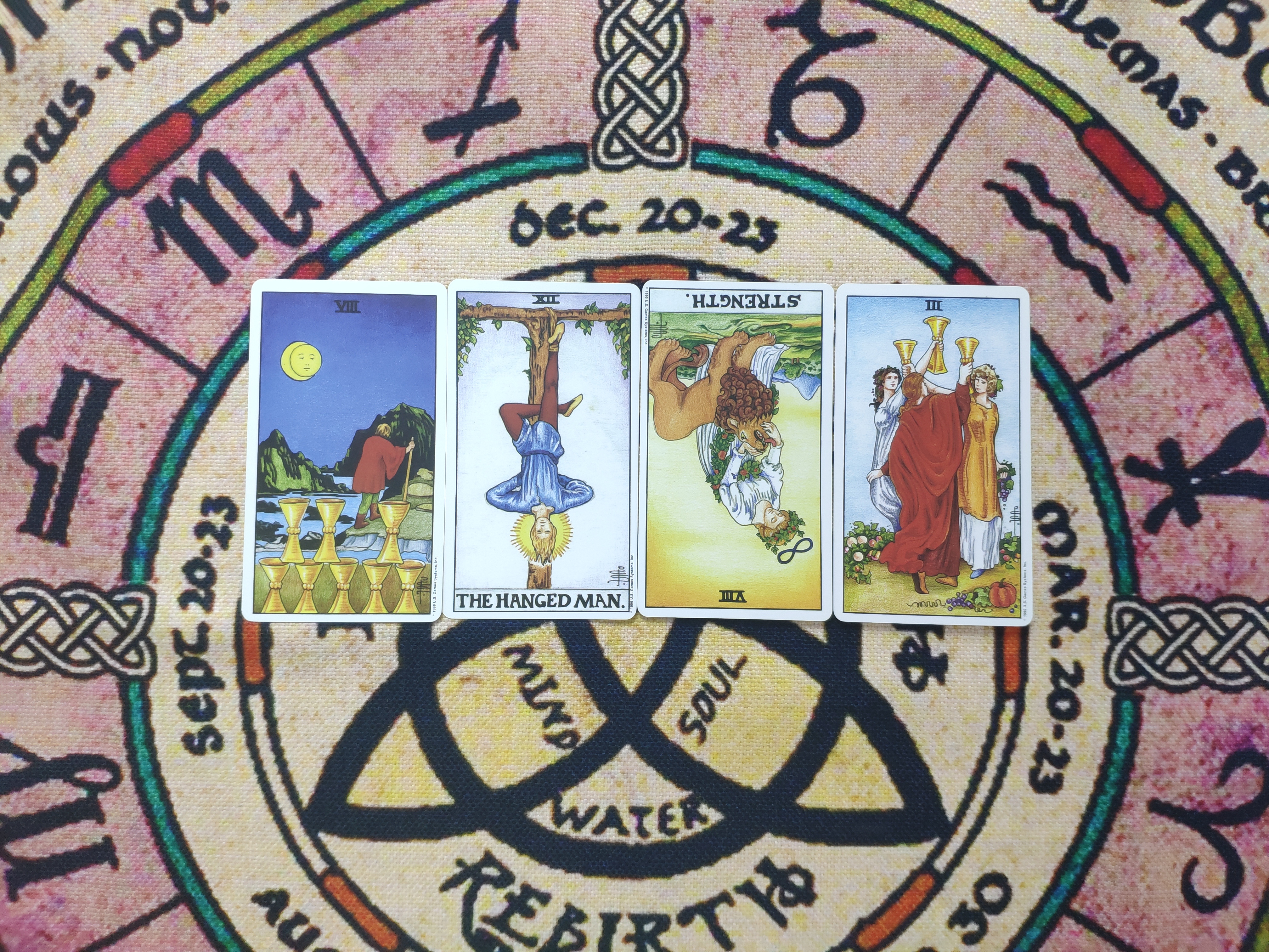 「灵鹿塔罗:狮子座」-分手断联,他还会回来吗?