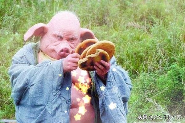 八戒为啥宁可去西天取经也要拒绝跟乌巢禅师修行？你看佛祖啥意思