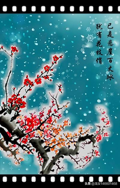 悬崖已结百丈尖冰，但梅花依然傲雪俏丽竞放