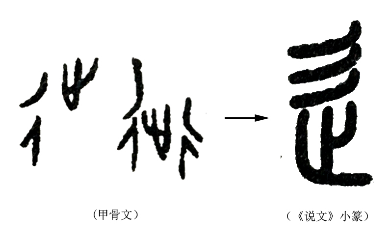 《说文解字》第226课：辵，就是我们说的“走之旁”，究竟何义？