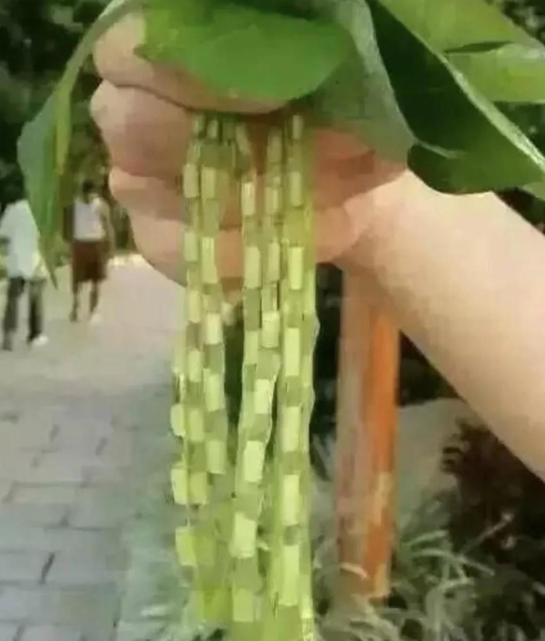 70后童年游戏 其乐无穷——祖国生日 回忆童年 爱国情浓（三）