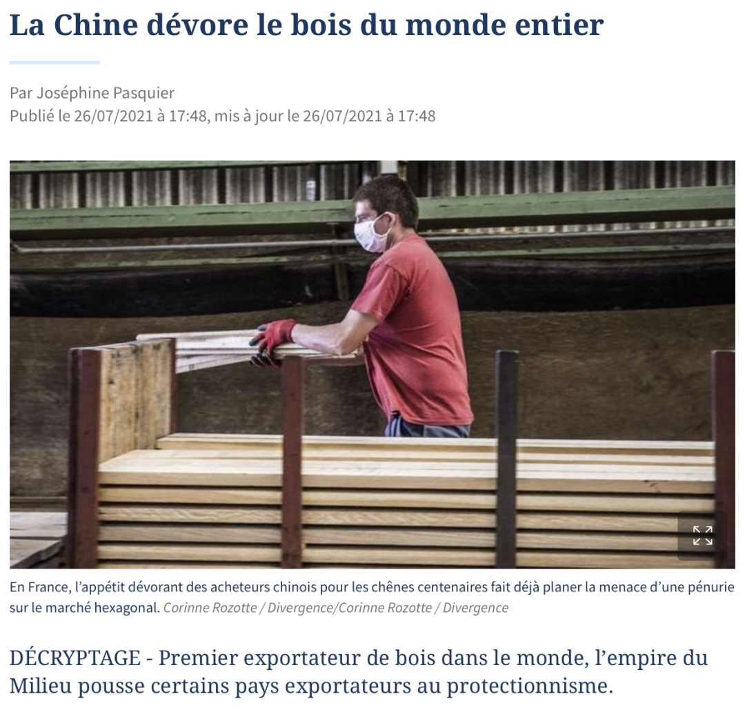 从阴谋到误读：你关于森林危机的想法可能全错了