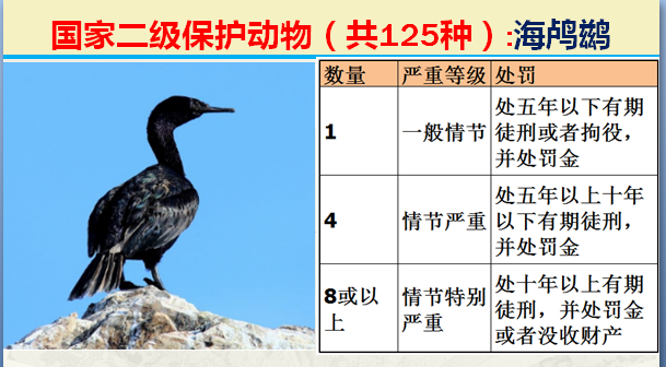 二级保护动物（国家最新125类二级野生保护名录）