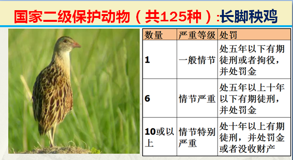 二级保护动物（国家最新125类二级野生保护名录）