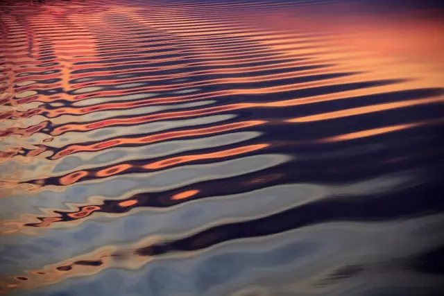 我愿是激流(鲁迅先生的自嘲古诗)