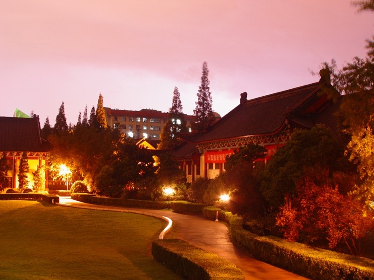 刘芳美术245分预估文化520分，能被南京师范大学录取吗？