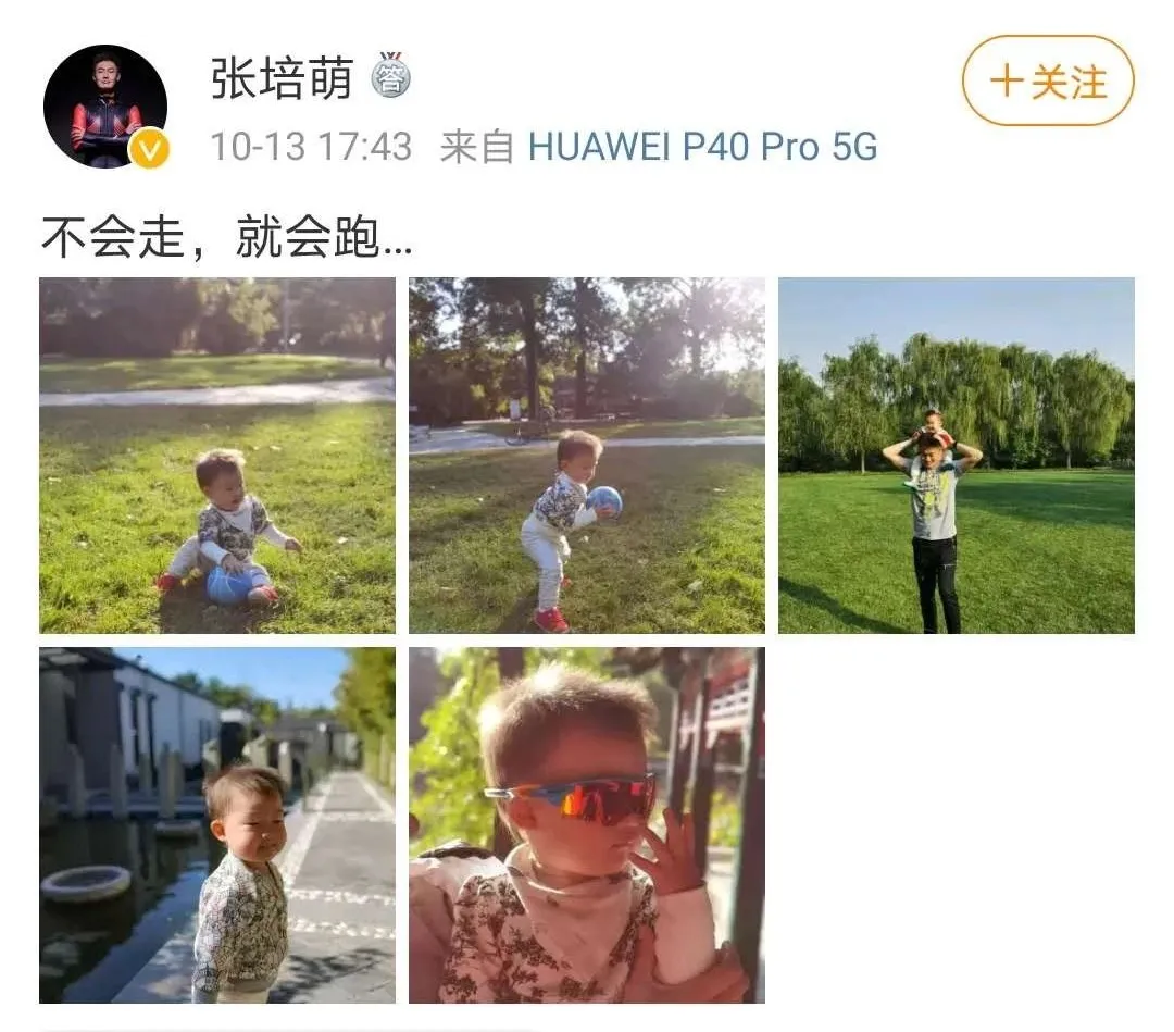 甘肅衛視全景足球在哪里直播（張培萌和張莫涵這段婚姻關系里，最受傷的是誰？）
