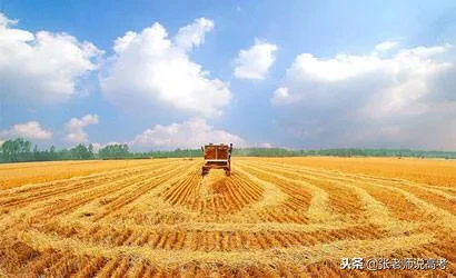 综合性大学相继设立农学院，这意味着什么