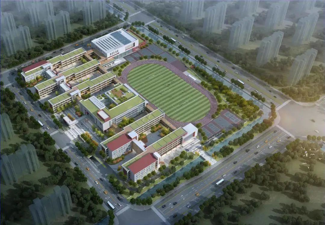 速看！今年15所新学校投用，你家周边有变化吗？
