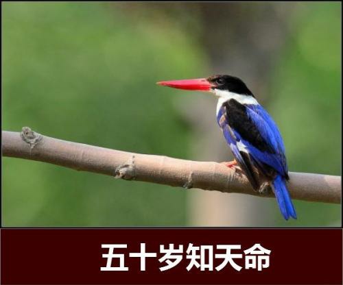 现如今要如何理解“三十而立，四十而不惑，五十而知天命”呢？