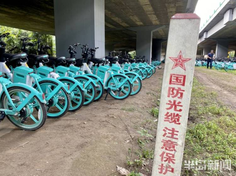 半岛独家丨太壮观！数千辆共享电动自行车藏身立交桥下！网友发问：危险不？车牌呢？