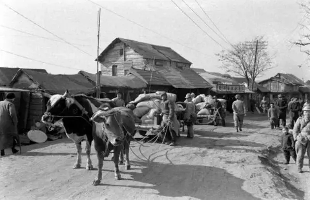 民国农村奇案：新婚银匠夫妻引发连环凶杀，真相错综复杂扑朔迷离