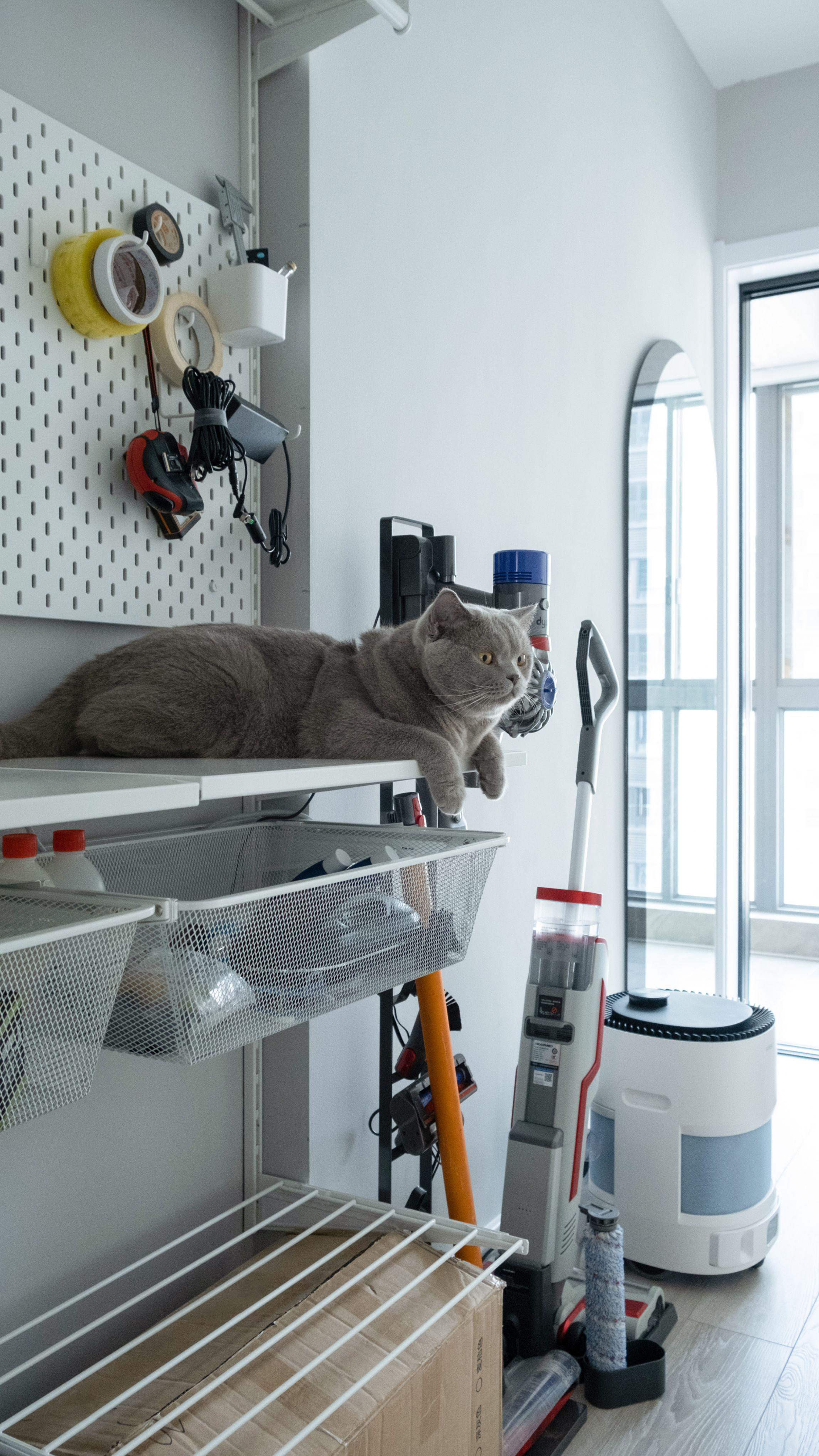 费时+费力+费钱=2人2猫的梦想屋，125平40万落地