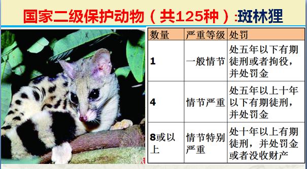 二级保护动物（国家最新125类二级野生保护名录）