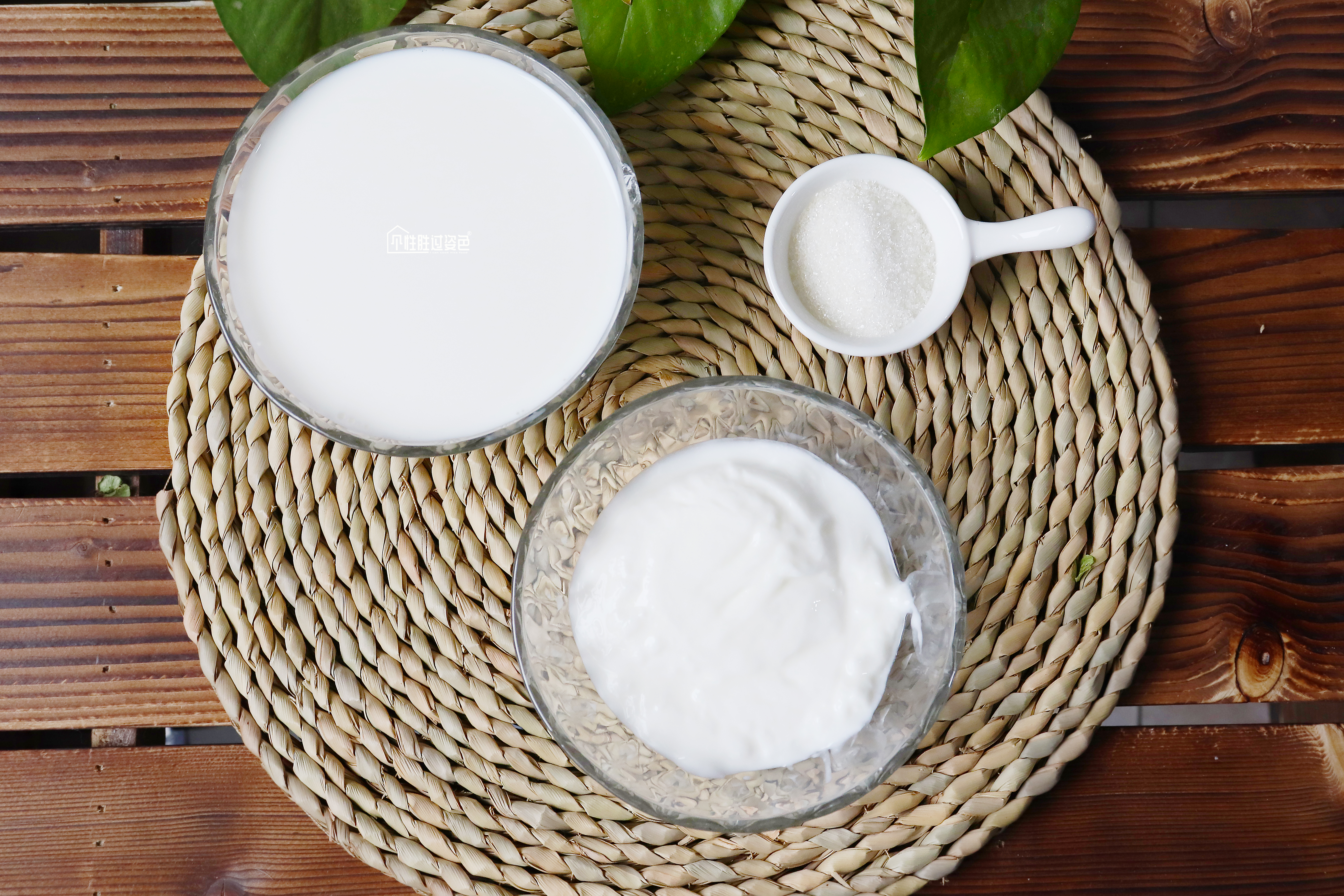 教你自己在家做酸奶，不用酸奶机，不用菌粉，酸甜浓稠滋味足