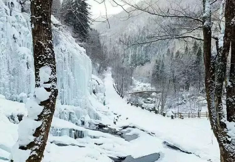 人生到处知何似，应似飞鸿踏雪泥，长白山一片雪白，等你留下脚印