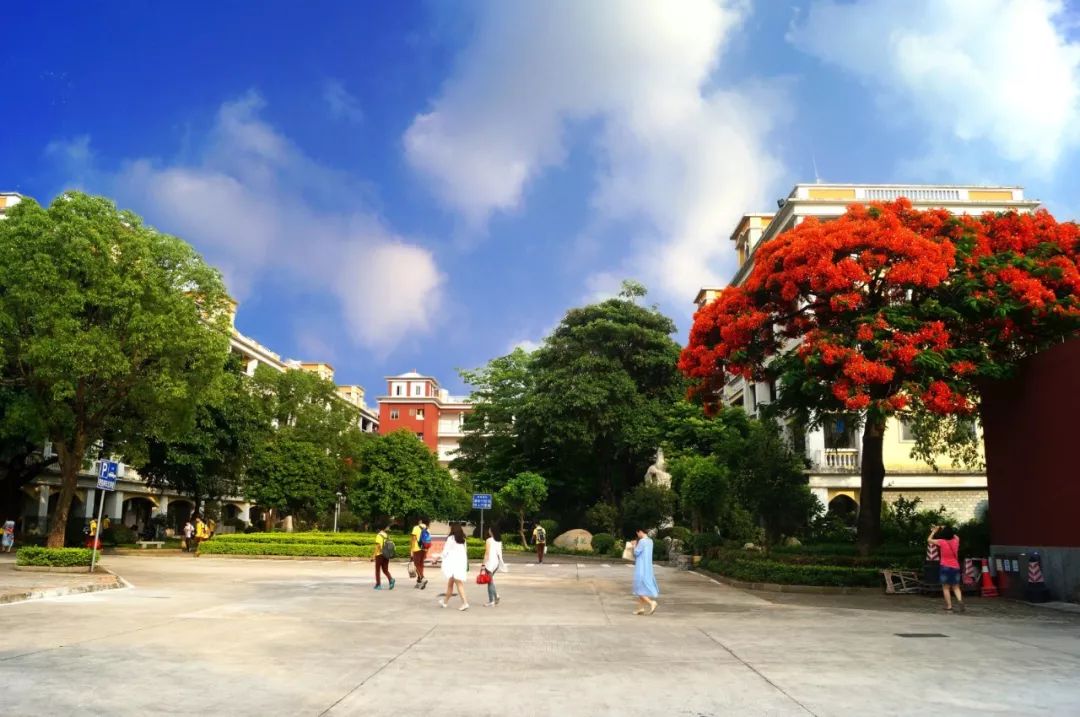 东莞市翰林实验学校丨这里每10个学生，有近5个考上重点大学