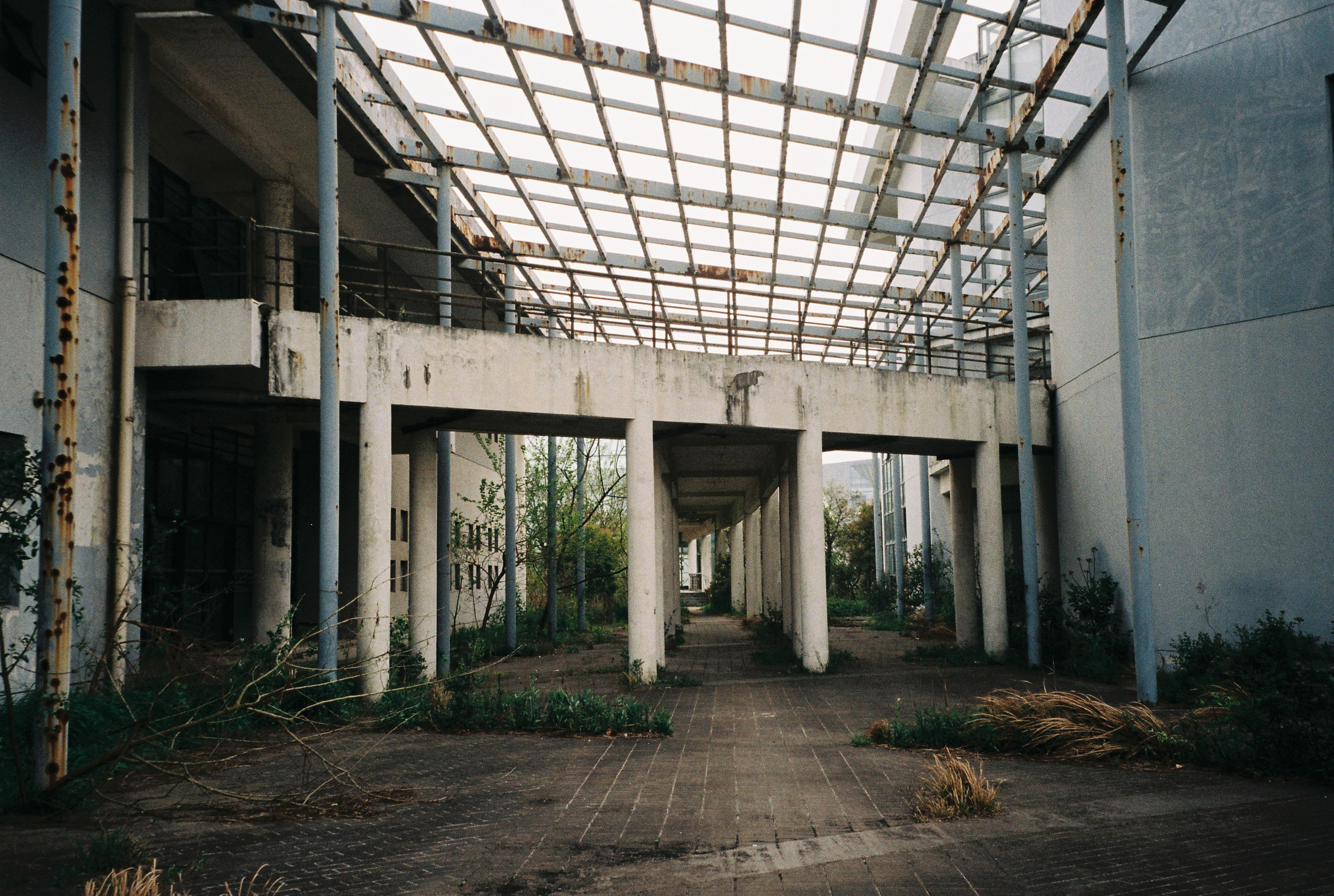上海味道 |消逝的复旦大学太平洋金融学院