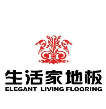 2021強(qiáng)化復(fù)合木地板十大品牌