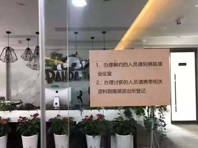 熊猫直播怎么了(熊猫直播宣布破产：这个价值百亿的教训将青史留名)