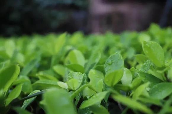 广州涉外经济职业技术学院：春招在即，选择“涉外”给你N个理由