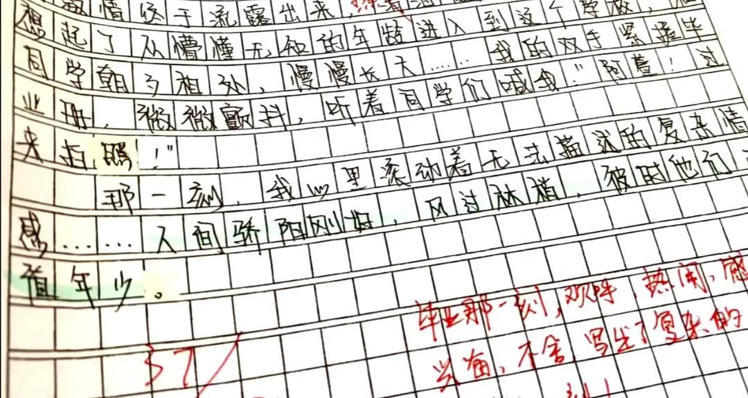 这个素材，写作文慎用