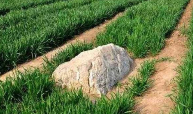 世界最矮的山就在中国,海拔仅有0.6米,地下隐藏的秘密你知道吗