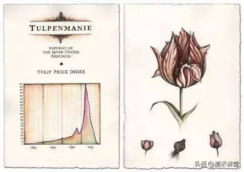 17世纪荷兰泡沫事件始末，千百万人因此倾家荡产