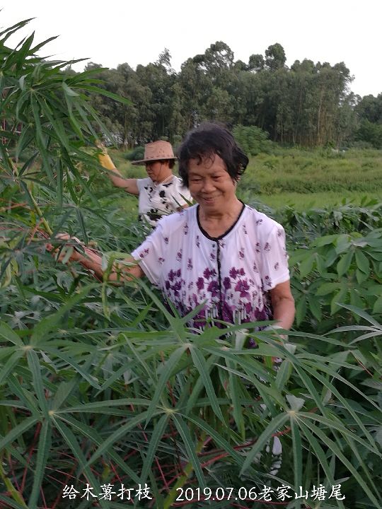 身处异地，心念故里