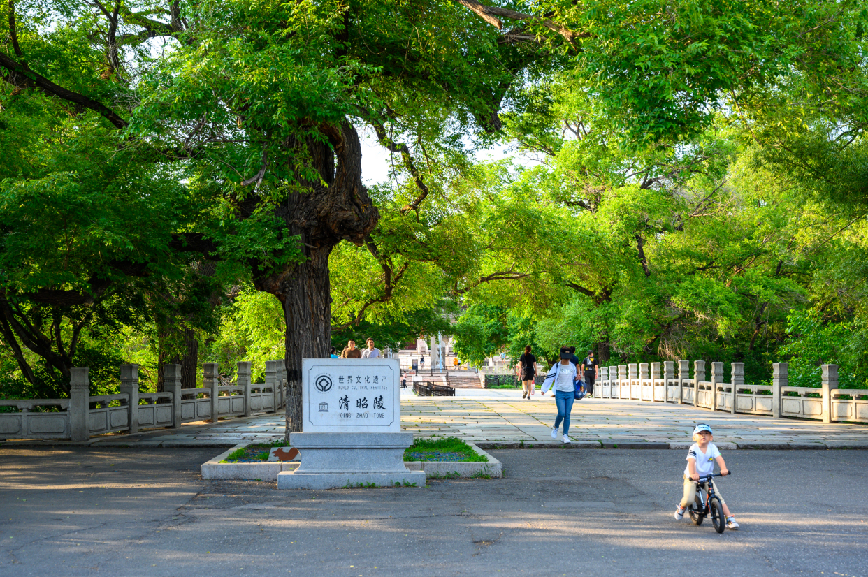 沈阳北陵是谁的墓地（沈阳东陵是谁的墓地）-第10张图片-科灵网