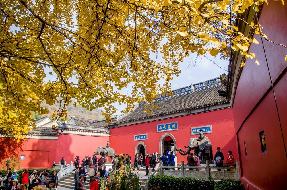 凤翔峰—太虚亭—枫林湖(红枫观赏处)—了凡问道—小营盘—红枫林