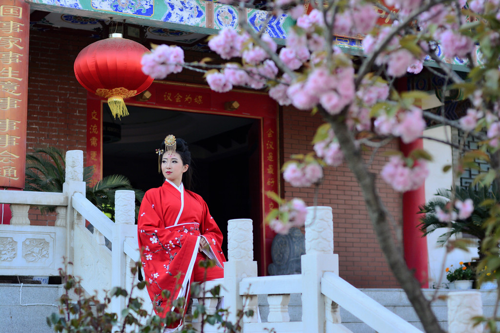 诗经中的这首诗，写尽少女之美，是千古赋咏美人之祖