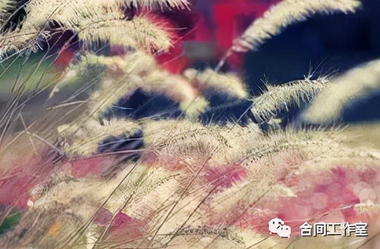 “清”“冷”“孤”“傲”，告别八年级下册