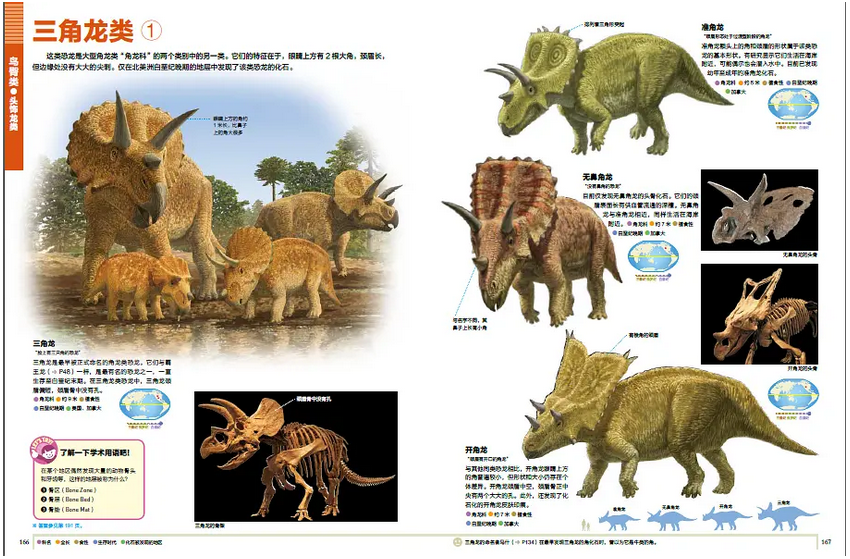 400种恐龙，700多幅场景图和化石照片，带领孩子系统全面了解恐龙