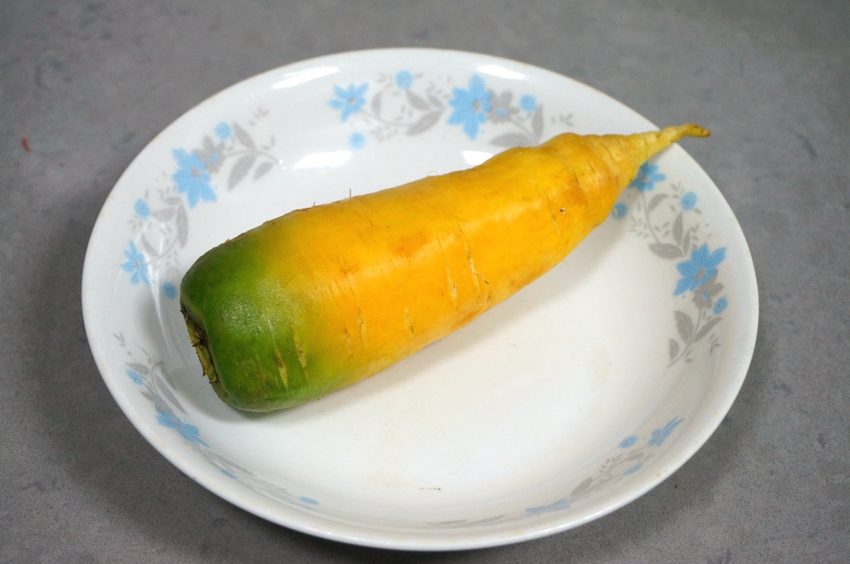 1根胡萝卜1碗面，烫面饺子柔软不硬有窍门，端上桌都抢着吃！
