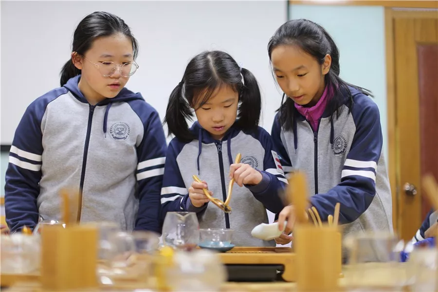 重磅！2020民校幼升小补录已经开始！今天，温江这所学校热火朝天