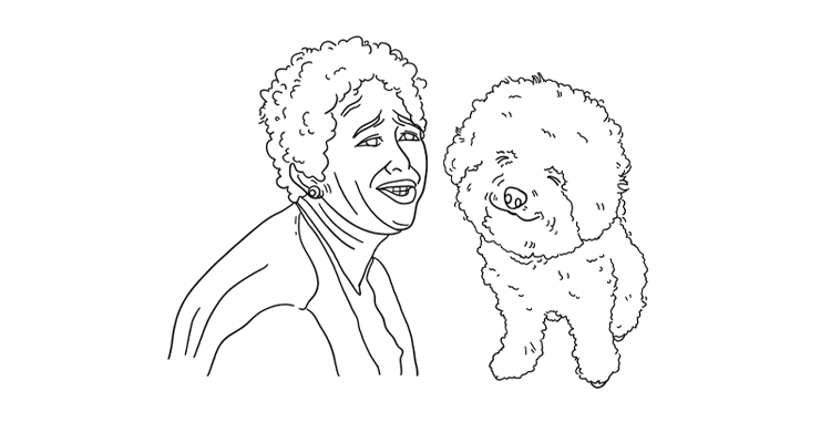 短卷mer mer头 比熊