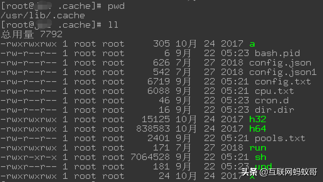 Linux服务器中招挖矿矿机程序导致系统CPU资源耗尽的排查过程