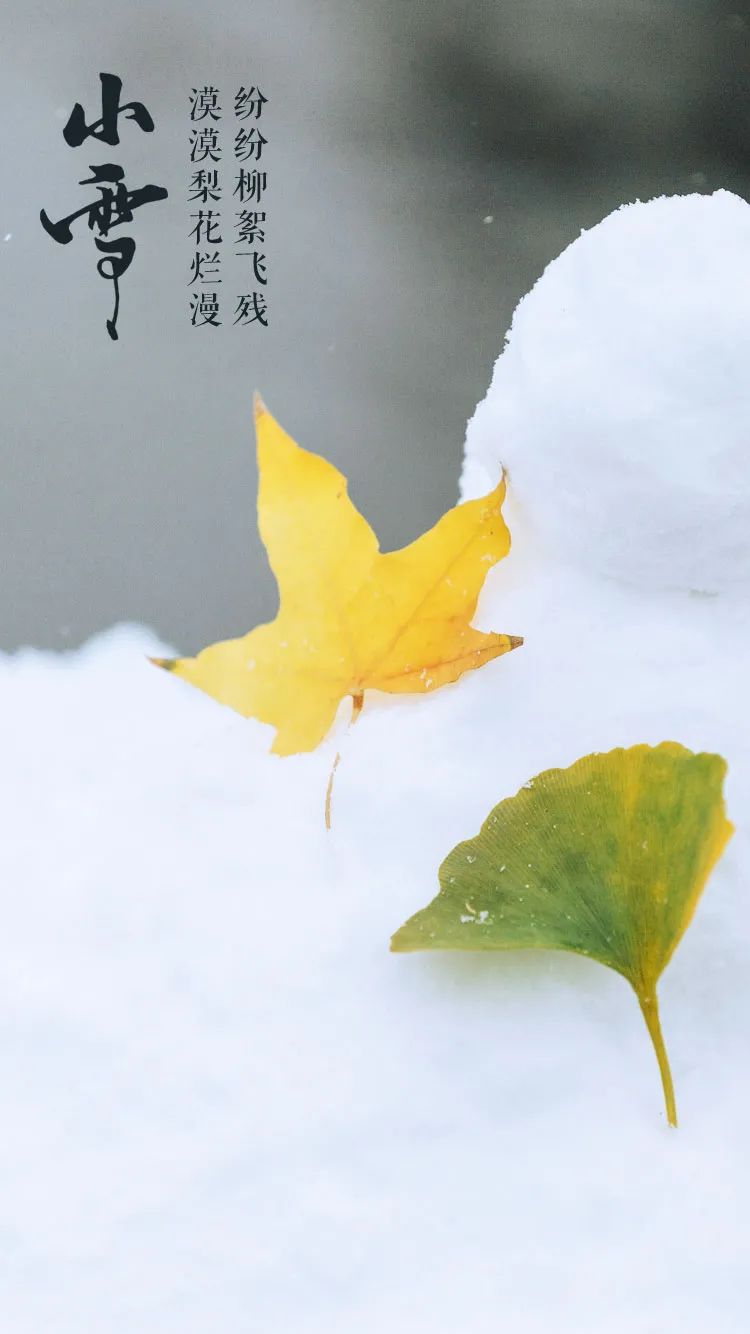 「美文美图」小雪，在最美的诗词里，遇见最美的小雪