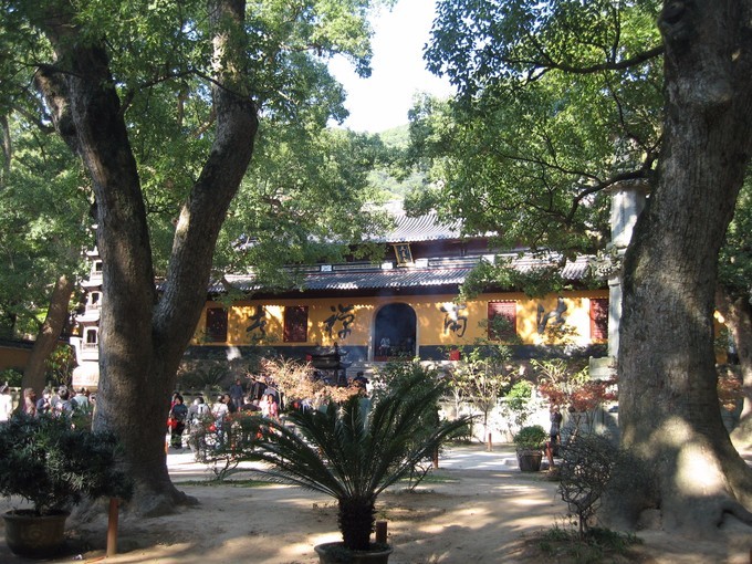 当年齐天大圣经常去的南海紫竹林,观音故乡,佛国普陀山