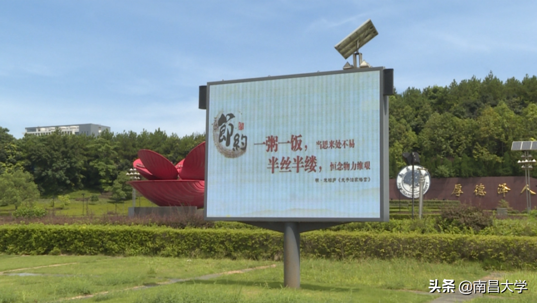 坚守“粮”心，拒绝“舌尖上的浪费”