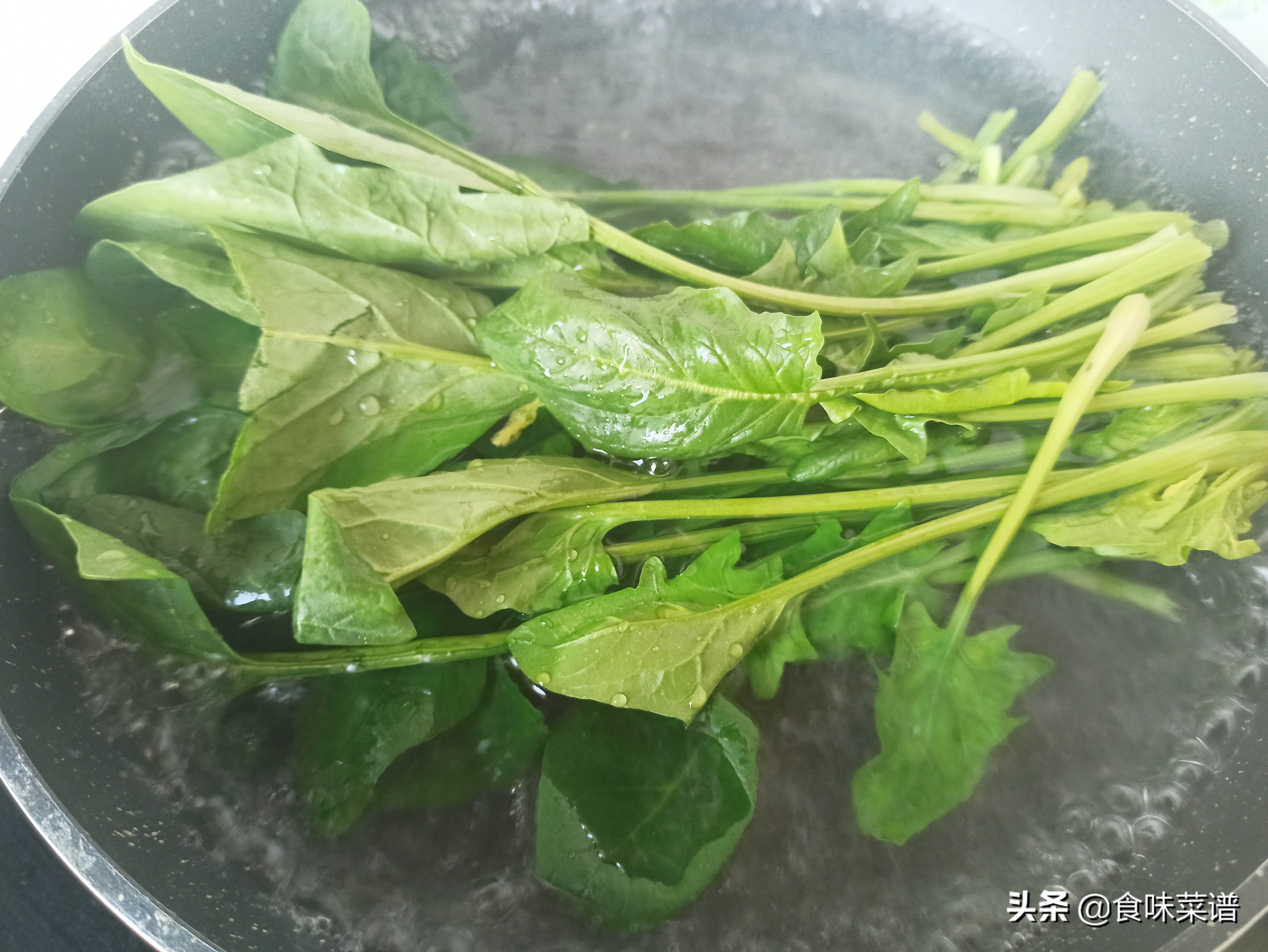 水煮菠菜的做法（菠菜最好吃的6种做法味道鲜美）
