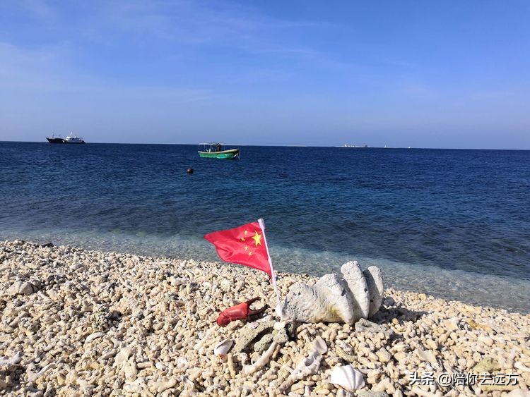 西沙~南海中的一片莲